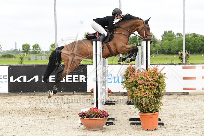 Sacha de Wit - Malibu O