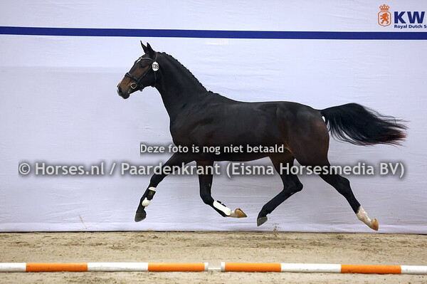 339 (Escanto PS x San Remo)