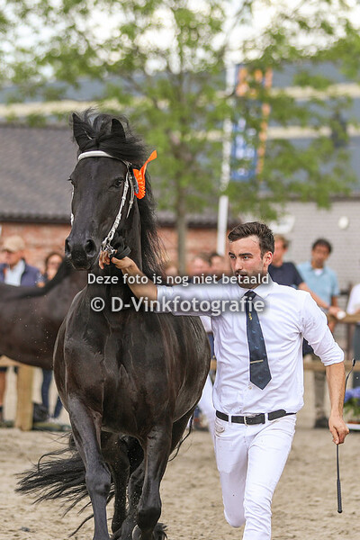 103. Hannah van de Demro Stables