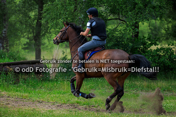 SGW Ede en Putten Pony M Paard L 15-06-25