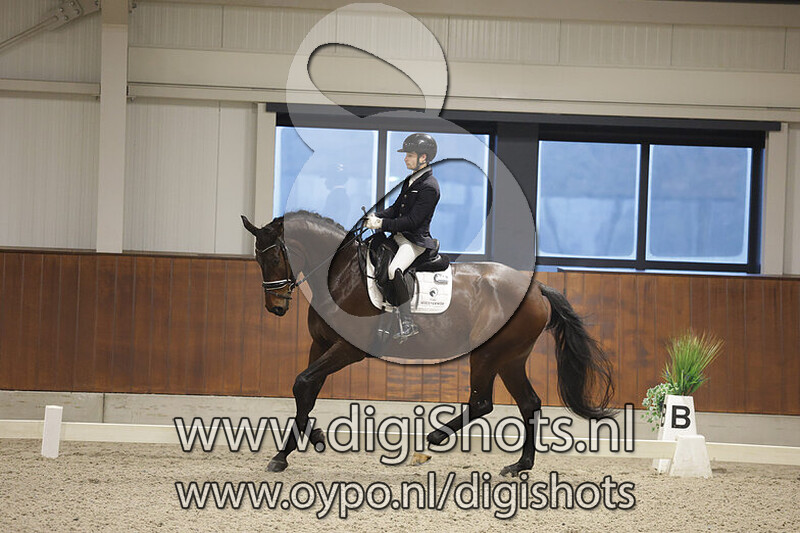 T' Ophelia van het Hulsterbos