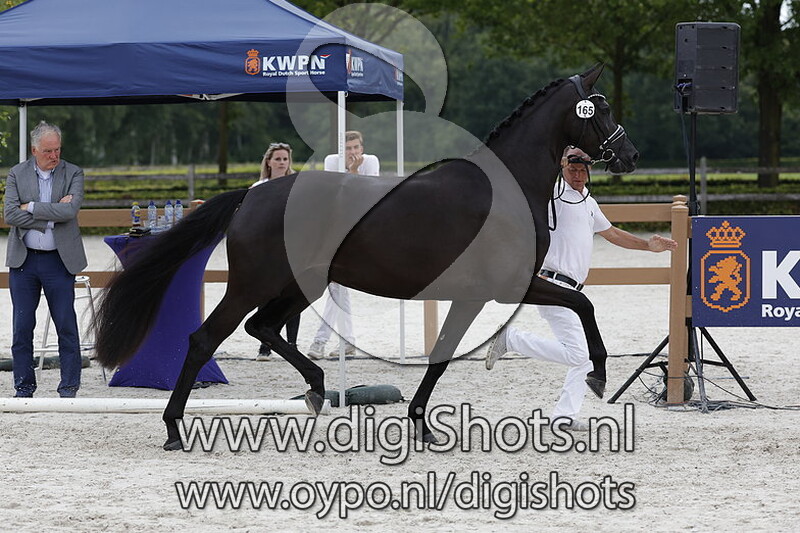 Party Time S v. Le Formidable