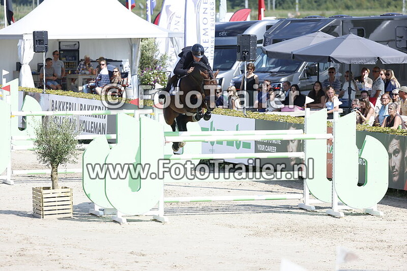 dennis van den brink