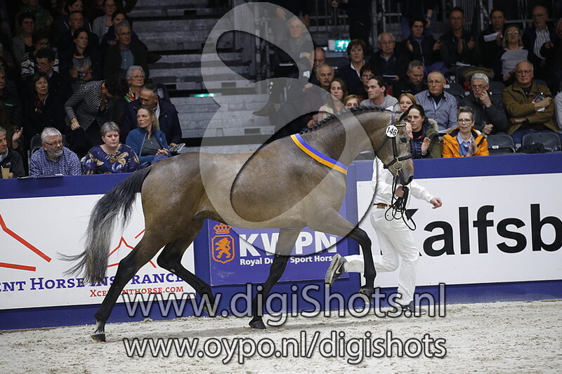 Manden I Sonderbygaard 146