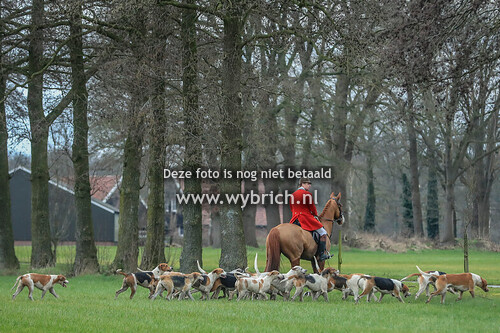 35 Bentelo 22-2-2025