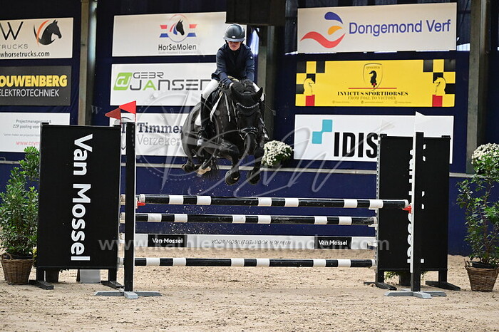 Annika van den Heerik - Gadesse