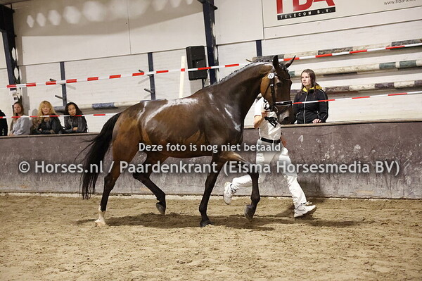 24 Lambrusca (ferdeaux x Golden Night v. Breezer)