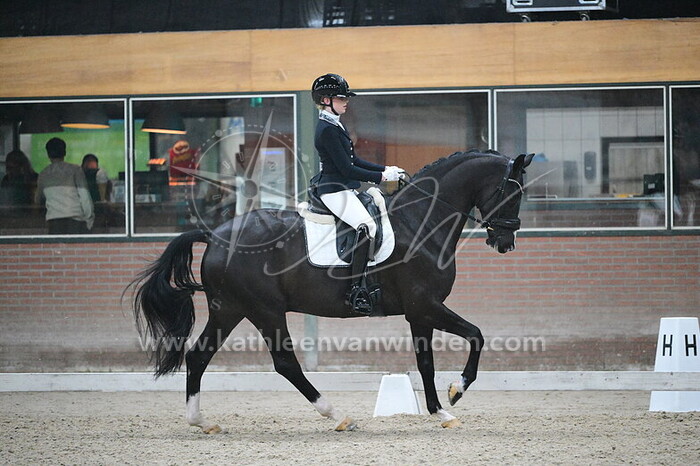 Dominique van Dalsen - Perfect M