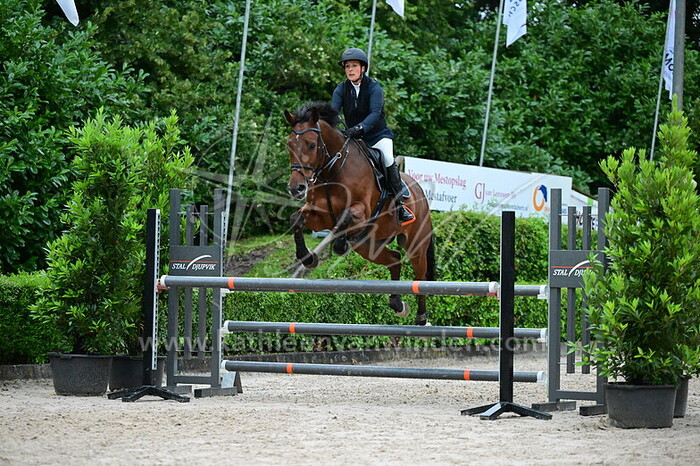 Yvette Bogaart - Adonis