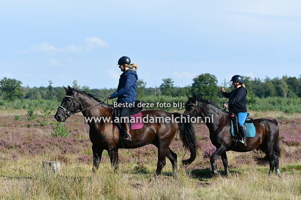 woensdag 10 september