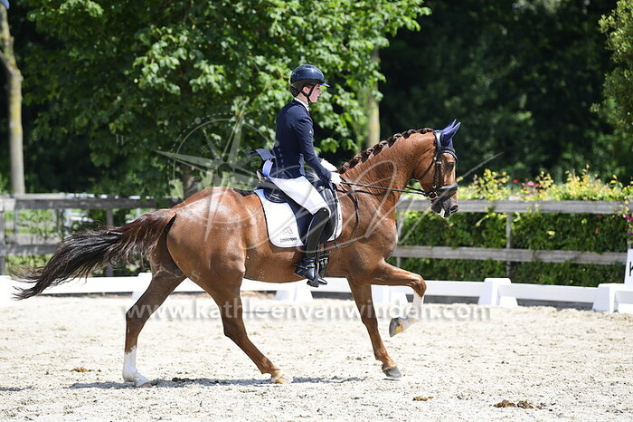 Lemoni Dikker - Mo Mo