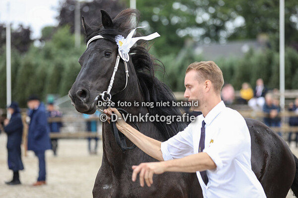 110. Marquise Z van de Sprong