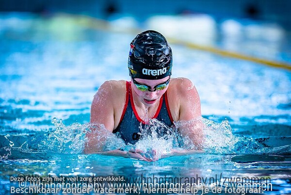 voorgaande wedstrijden