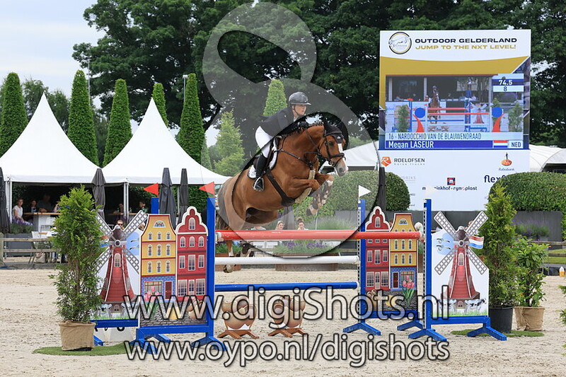 Nardocchio van de BlauwendraadÂ 