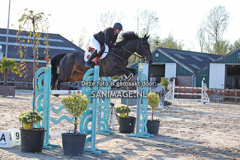 Zilfia's Hoeve Springen paarden 10-04-2024 130/135 cm