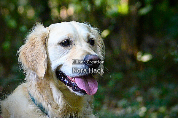 Zondag 16 augustus 2020