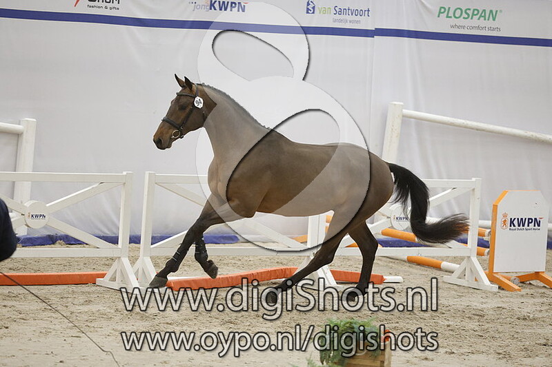 Rafaello Es v. La Costa Es - 094