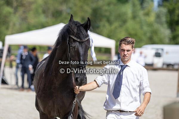 44. Treja Ide vd Arebo Hoeve