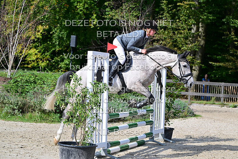 15 Paarden 80 cm - rijstijl zonder barrage