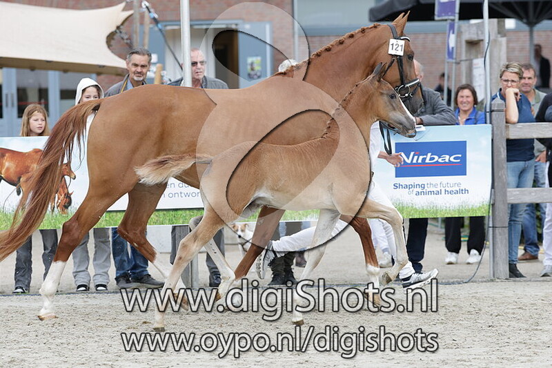 Vranklee Laferdi v. Frankie Lee