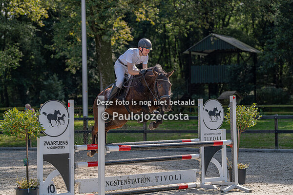 Galoppade 2024 100cm Ponys