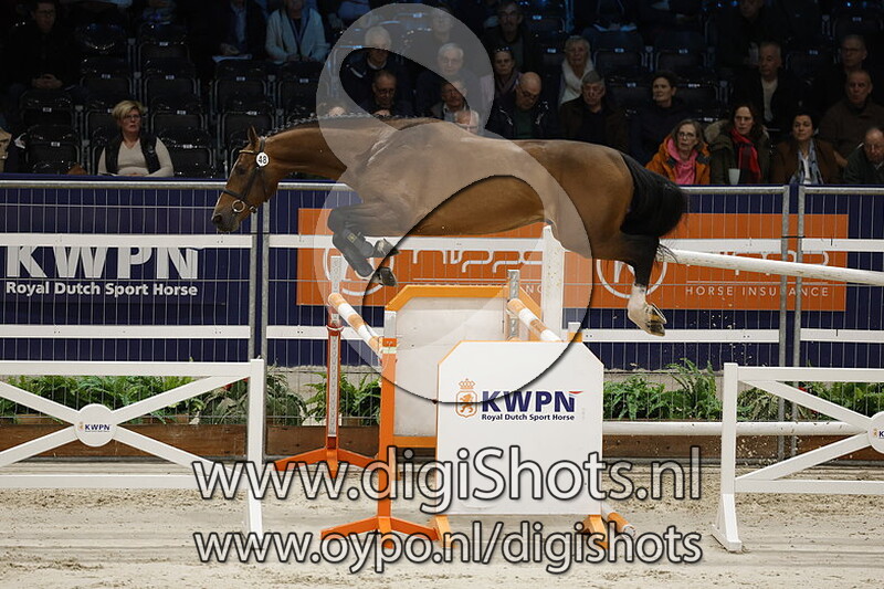 Red Label v. Defender Vds Z - 048