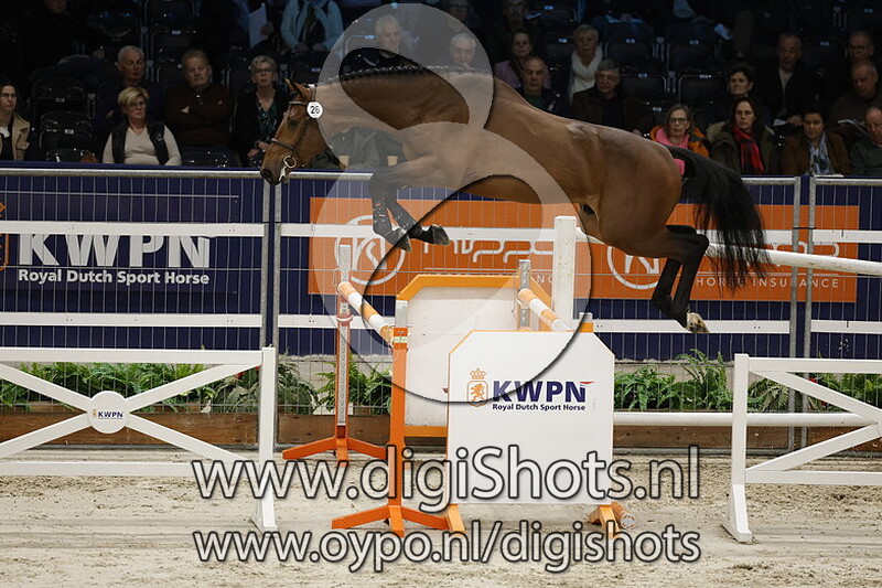 Check Out Blue Z v. Chacco Blue - 026