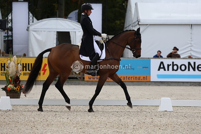 BOEKELO_DRESSAGE_11OCT2024