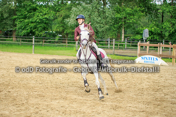 CH Manege Sintels Pony 80 de 19-05-24