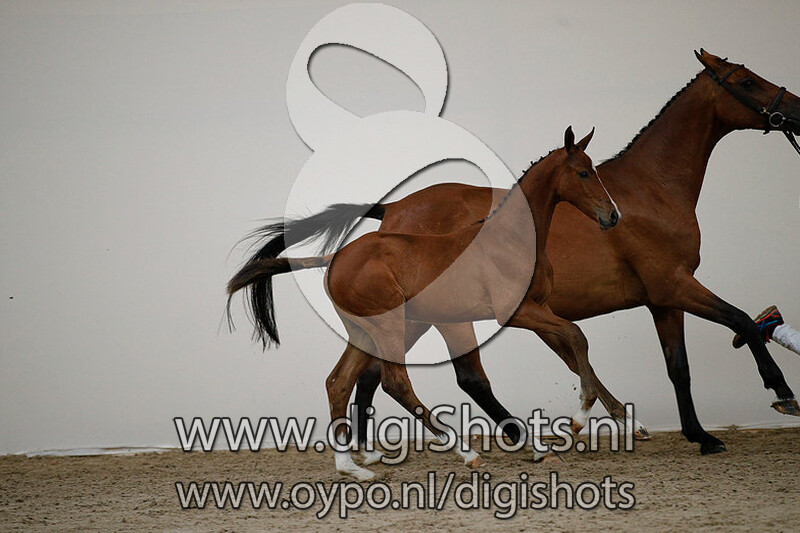 El Chapo Z v. Eldorado van de Zeshoek TN