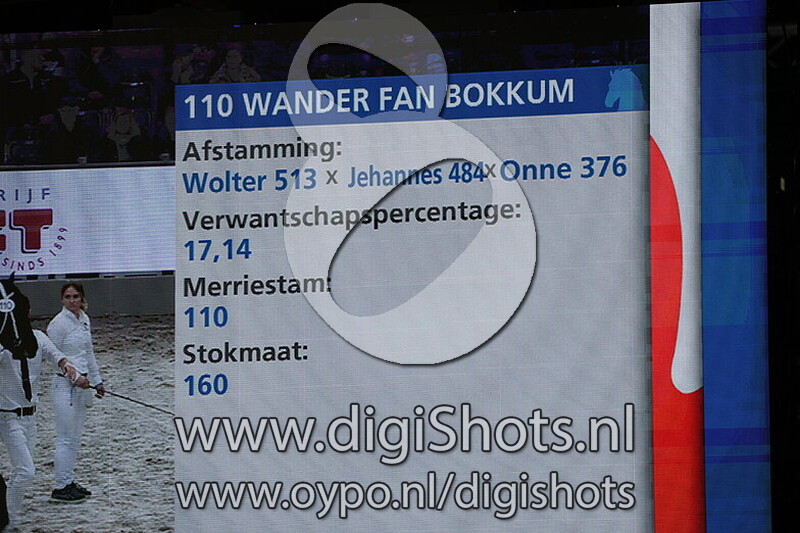 Wander fan Bokkum