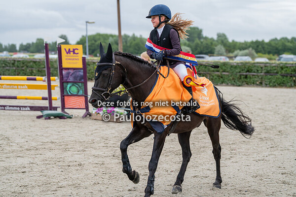 NH Regionals 50/60cm ponys