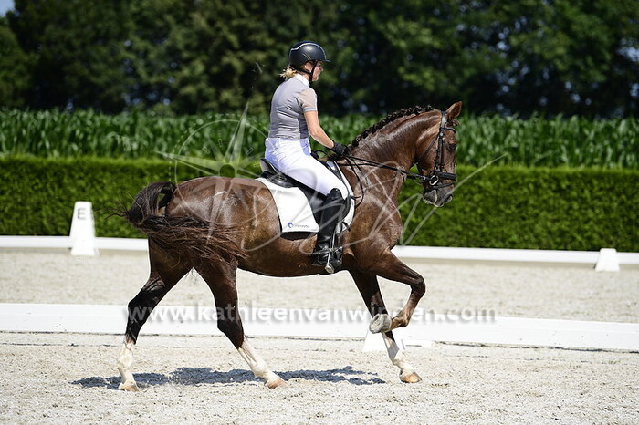 Petra van der Meijden