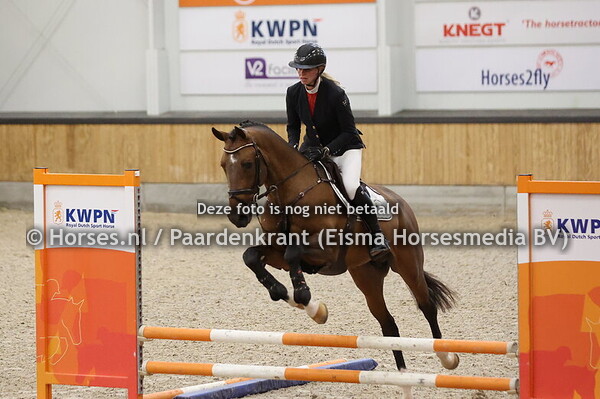 7 Stefano (Comme il faut x Quidam's Rubin)