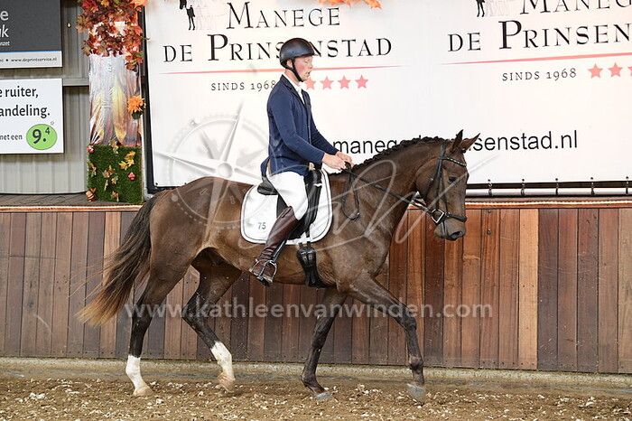 Pascal Hoogendoorn - Optimus Pride