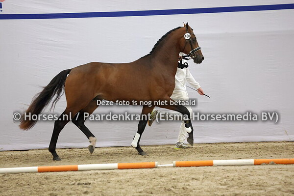 450 (McLaren x Krack C)