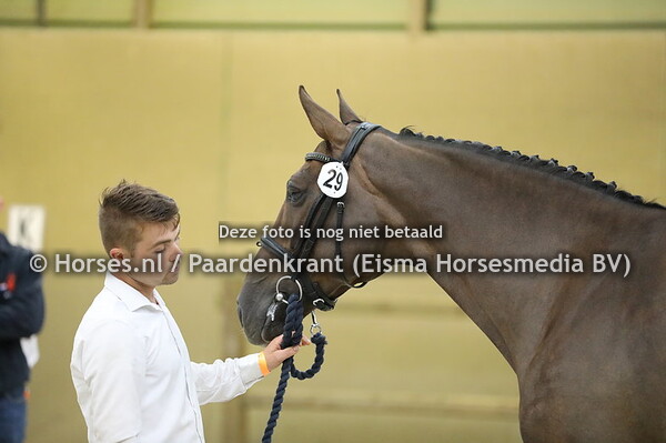 29 Incroyable O v Glasgow