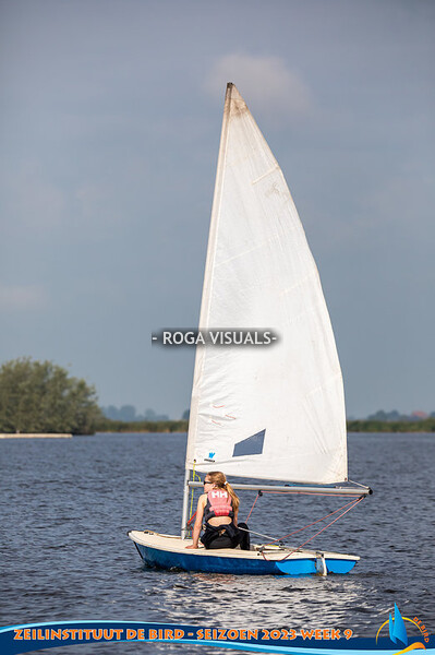 Zeilinstituut De Bird week 9