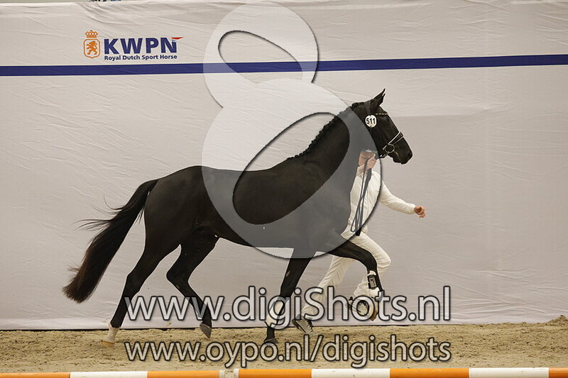 Shemari I.K. v. Total McLaren