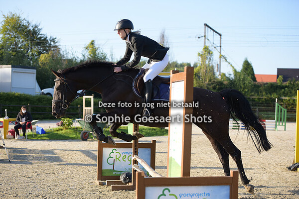 Paarden Clear Round 60