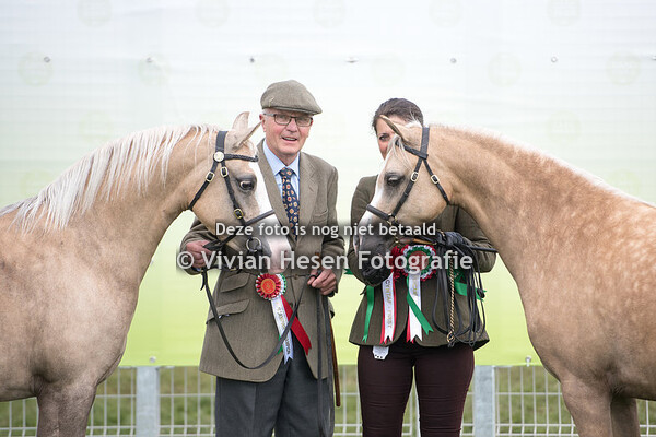 Section B Championship