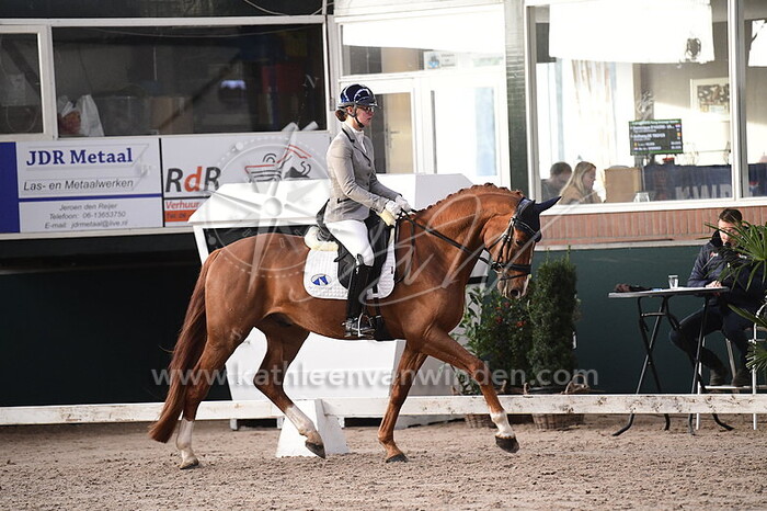 Dominique D'Hoore-van der Horst - Tsar v.d. Wolfshoeve