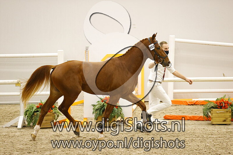 Nielson Mera C v. Geniaal