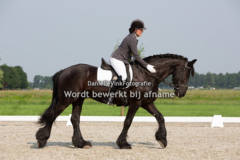 Desi van Son - Boris