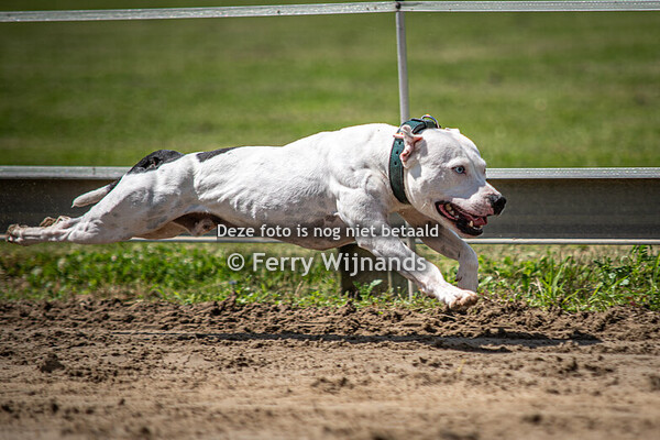 Training WRA 14-7-2024