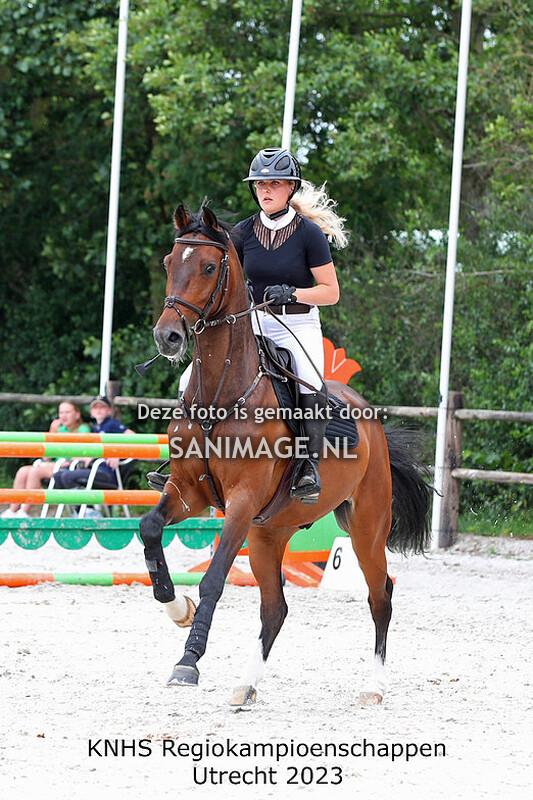 KNHS Regiokampioenschappen Utrecht 18-06-2023 100 cm