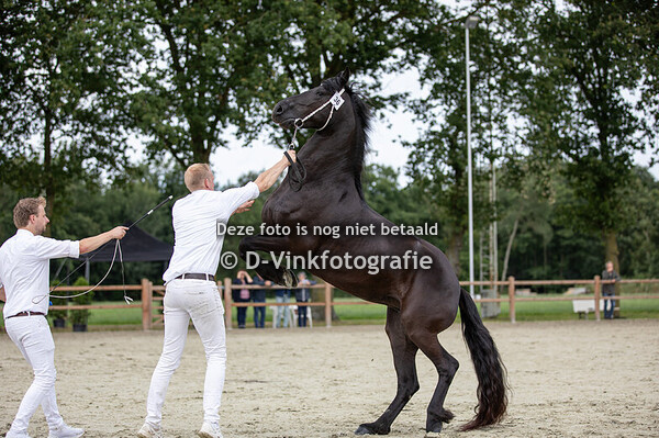 7. Graadverhoging 4 jr e.o.