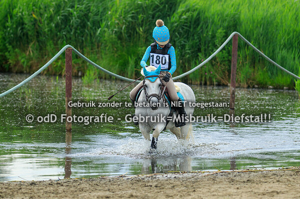 Eventing Zuid Holland 26-06-22