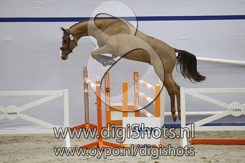 Semproniano VDH v. Colman