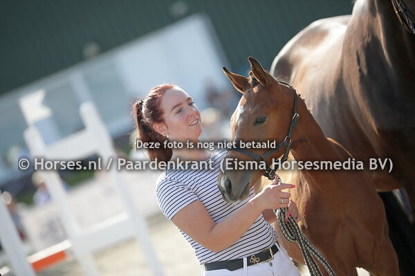 3 Seriously Curious CG (Baltic VDL x Munanitav. Impressive)